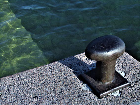 CLÀSSICS PER LA LLIBERTAT · RAPSODES DEL SEGRE