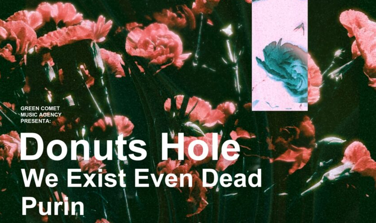 CONCERT · DONUTS HOLE + WE EXIST EVEN DEAD + PURIN