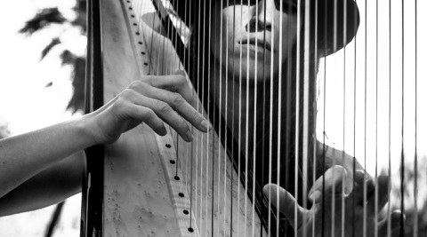 CONCERT · L'ARPA QUE PARLAVA AMB ELS ESTELS