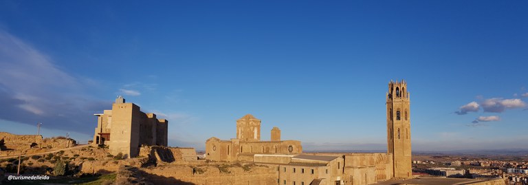 DIA DE LA SEU VELLA
