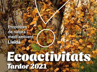 ECOACTIVITAT · ELS BOLETS I LÍQUENS DEL BOSC DE RIBERA