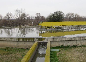 ECODESCOBERTA · EL CAMÍ QUE FA L'AIGUA DE CASA AL RIU