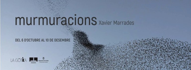 EXPOSICIÓ · MURMURACIONS DE XAVIER MARRADES