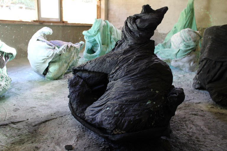 EXPOSICIONS · INVISIBLE I "BROTE DE PERAL"