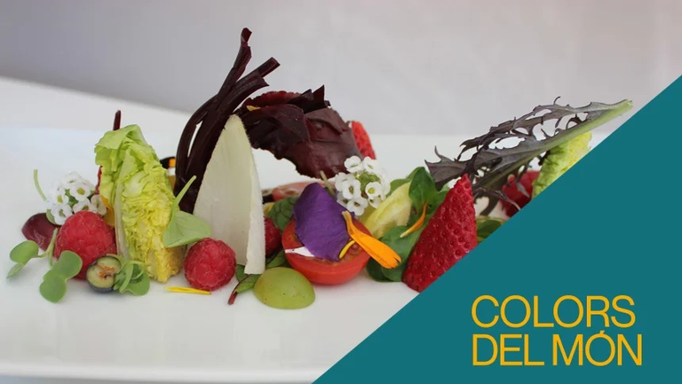 MENGEM EN COLORS · LA CIÈNCIA DELS ALIMENTS