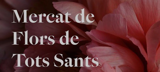 MERCAT DE FLORS DE TOTS SANTS