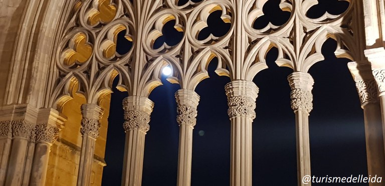 NIT DE LLUNA PLENA A LA SEU VELLA