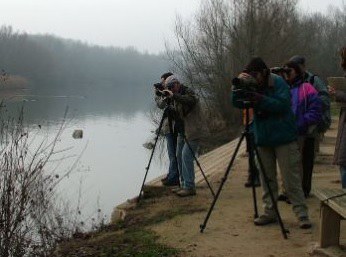 TALLER + BIODIVERSITAT · CENS D'OCELLS HIVERNANTS ALS ESPAIS HUMITS DE LLEIDA