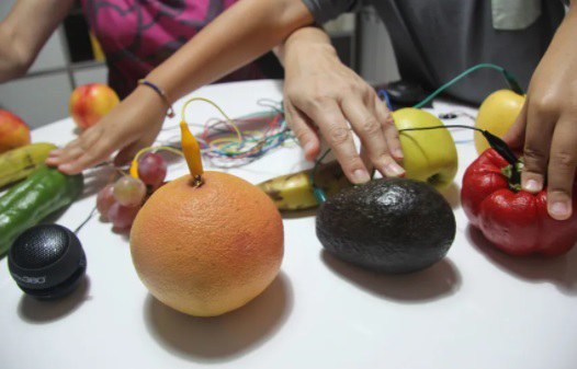 TALLER DE CIÈNCIA · VEGETALS ELECTROMUSICALS