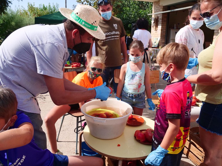 TALLER DE CONSERVA DE TOMATA A L'HORTA