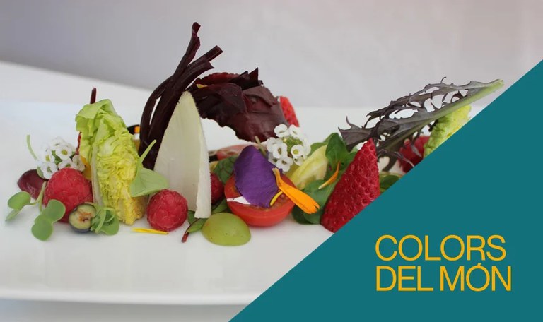 TALLER · MENGEM EN COLORS