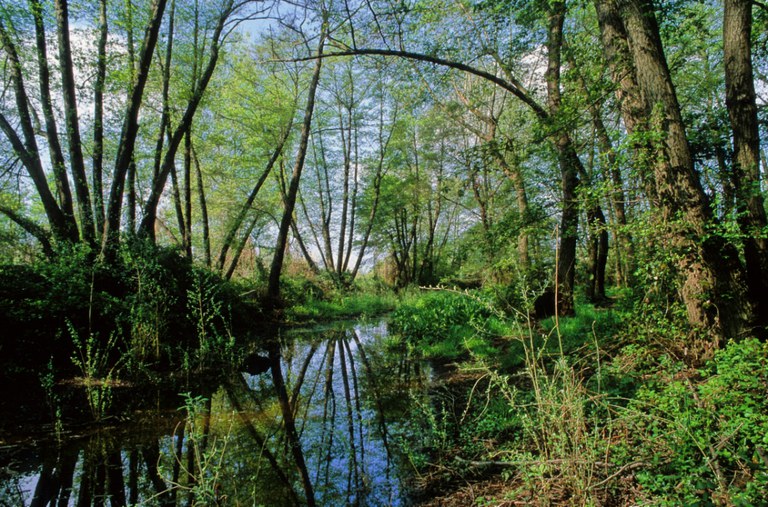 TALLER PER A PETITS NATURALISTES A LA MITJANA