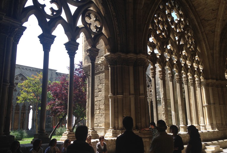 VI DE PEDRA · VISITA GUIADA