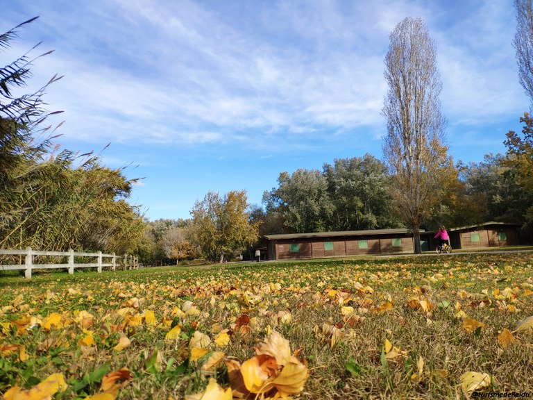 ECODESCOBERTA. EL PARC DE LA MITJANA A L'HIVERN