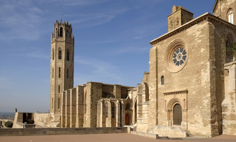 VISITA GUIADA A LA SEU VELLA I AL CASTELL DEL REI