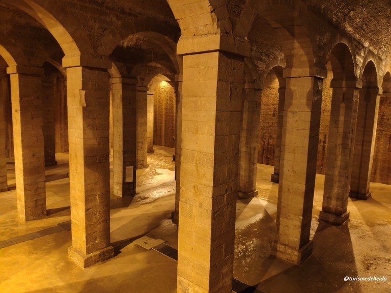 VISITES GUIADES AL DIPÒSIT DE L'AIGUA I POUS DE GEL