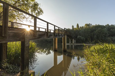 Parc de la Mitjana 2