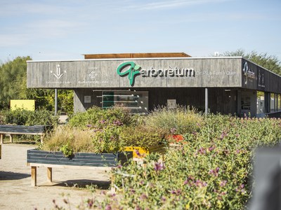 Arborètum - Espai Bonsai