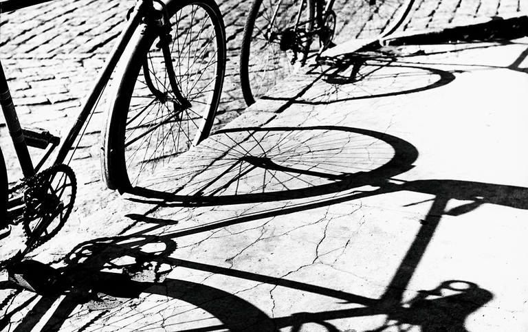 EXHIBITION · REVEALED PERSPECTIVES · PALMIRA PUIG