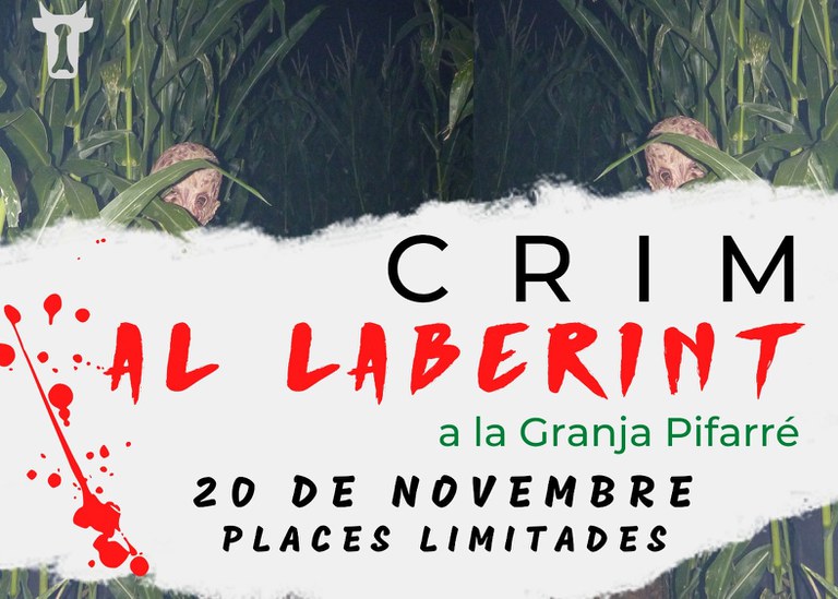 ACTIVIDAD · CRIMEN EN EL LABERINTO