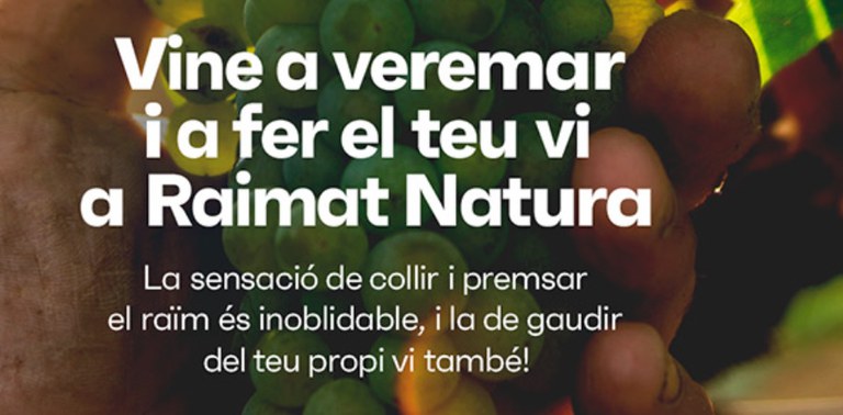 ACTIVIDAD · VIVE LA VENDIMIA DE RAIMAT