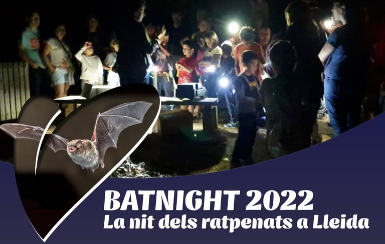 CELEBRACIÓN · LA NOCHE DE LOS MURCIÉLAGOS EN LA MITJANA. LA BATNIGHT
