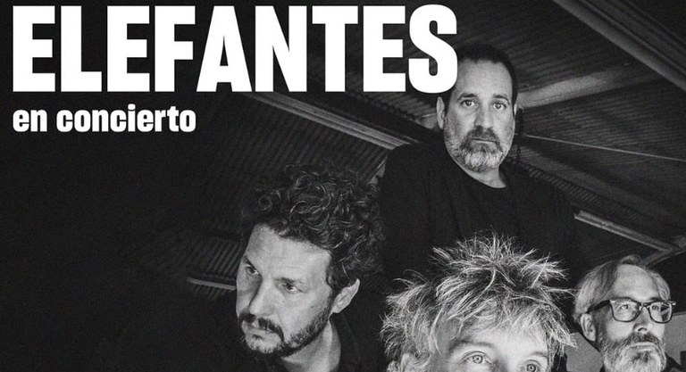 CONCIERTO · "ELEFANTES"