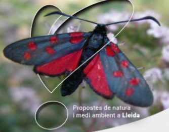 ECODESCOBERTA · EL REFUGIO DE LOS PELUDOS