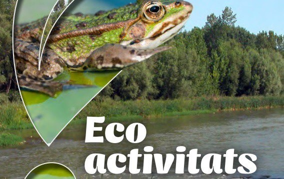 ECODESCUBIERTA · ¿QUÉ PASA CON NUESTROS ESCOMBROS?
