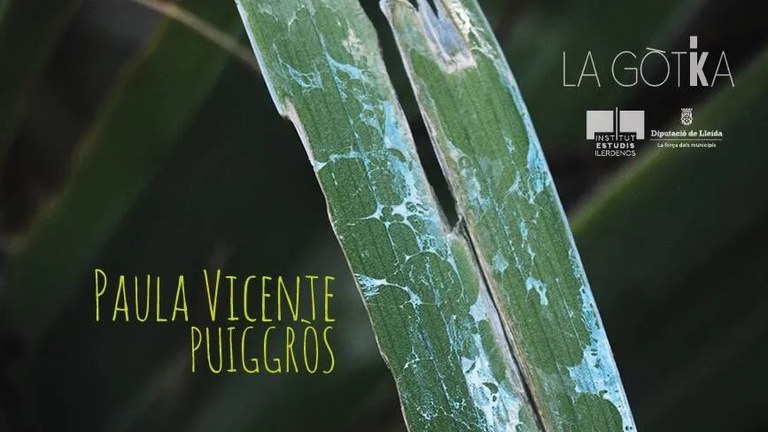 EXPOSICIÓN · "ENTRE LA FULLA I LA MUNTANYA"