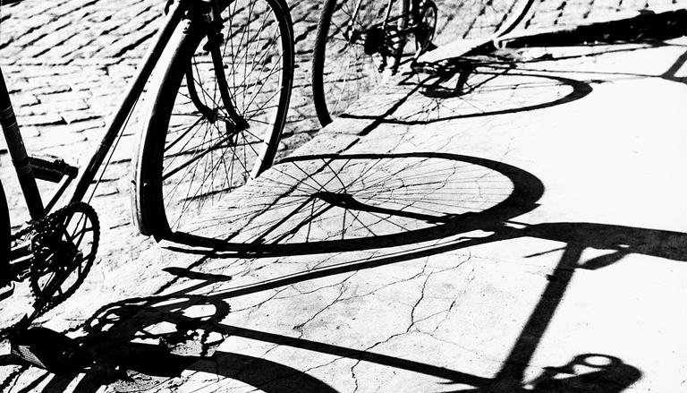 EXPOSICIÓN · PERSPECTIVAS REVELADAS · PALMIRA PUIG