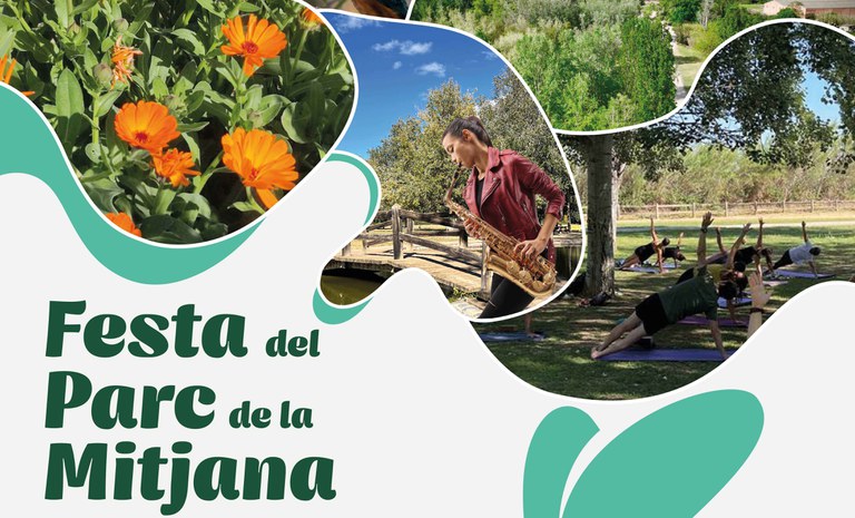 FIESTA EN EL PARQUE DE LA MITJANA