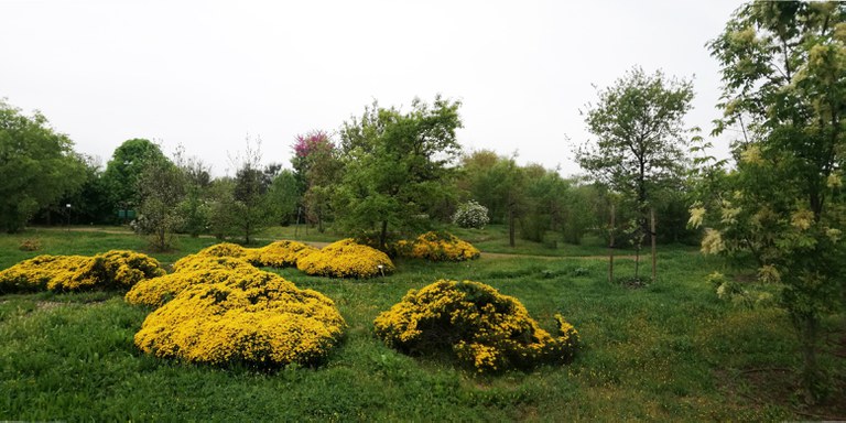 JARDÍN BOTÁNICO · ARBORÈTUM DE LLEIDA
