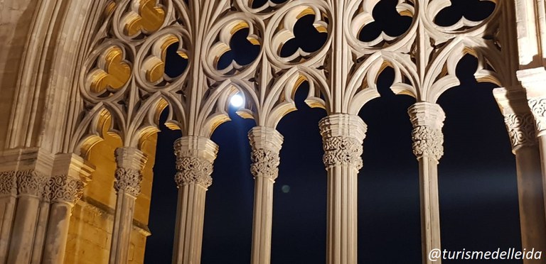 NOCHE DE LUNA LLENA EN LA SEU VELLA