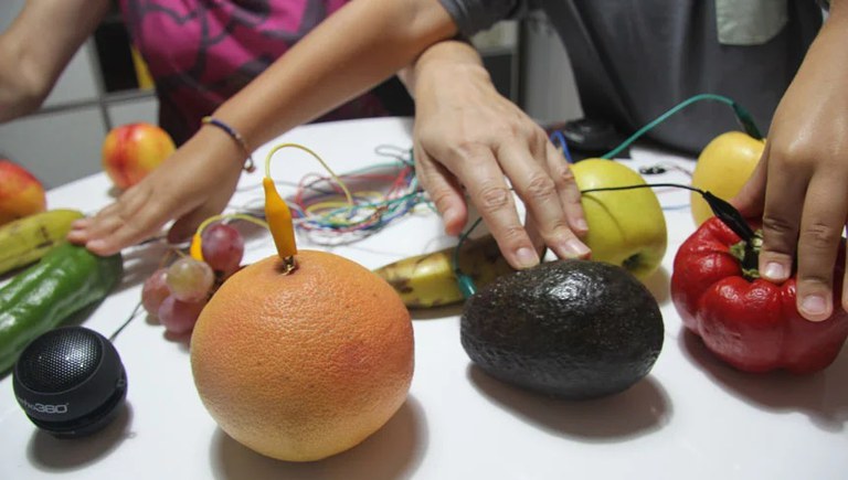 TALLER DE CIENCIA · VEGETALES ELECTROMUSICALES