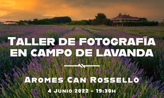 TALLER DE FOTOGRAFÍA EN EL CAMPO DE LAVANDA