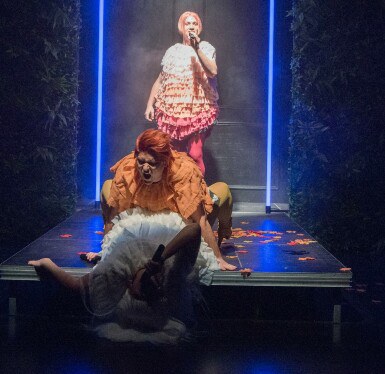 TEATRO · ELS OCELLS
