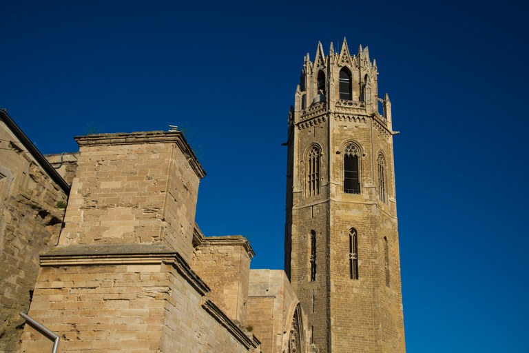 UN PASEO POR LA COLINA DE LA SEU VELLA · 50 AÑOS DE "ELS AMICS"