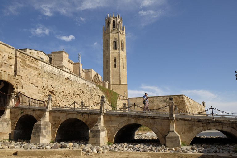 VISITA GUIADA A LA SEU VELLA