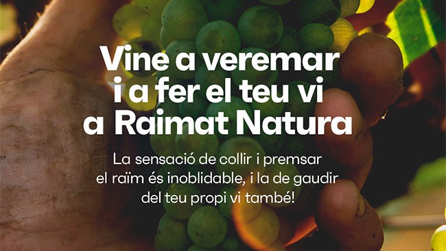 VIVE LA VENDIMIA DE RAIMAT