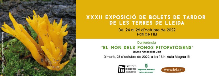 XXXII EXPOSICIÓN DE SETAS DE OTOÑO