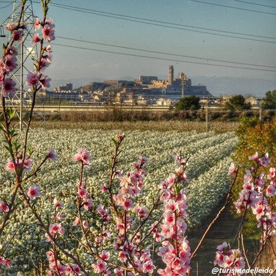 Primavera a Lleida