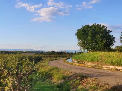 Huerta de Lleida